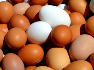 High-protein foods like eggs for muscle loss