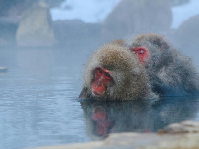 onsen